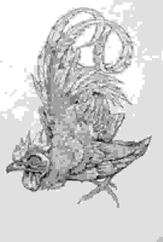 John Dyer Baizley Baroness Rooster (2012) Artsy