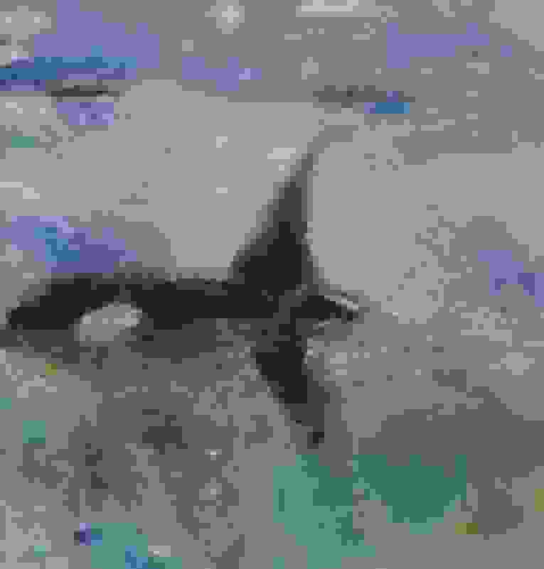 Rick Rivet | Inside Passage (2012) | Artsy