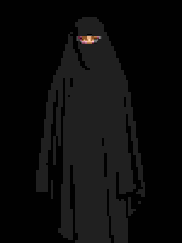 Cecile Plaisance | Blum in Burqa - Color (2022) | Available for Sale ...