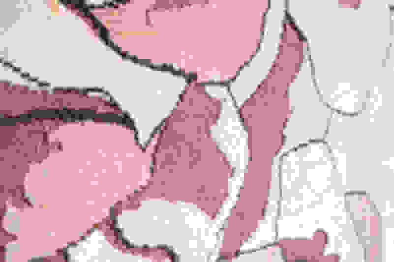 Porno Ben 10 va Kevin Gvenni sikishdi Eshak sikish onlayn