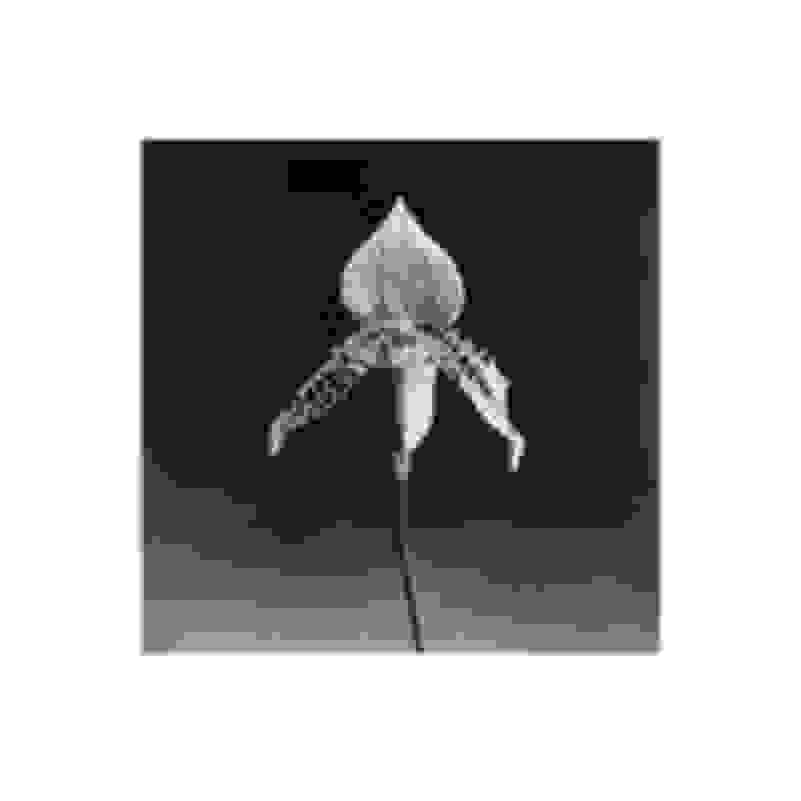 Katta lablari bilan qizlar bilan porno Qiz va ozga sayyoraliklar ortasidagi jinsiy aloqa