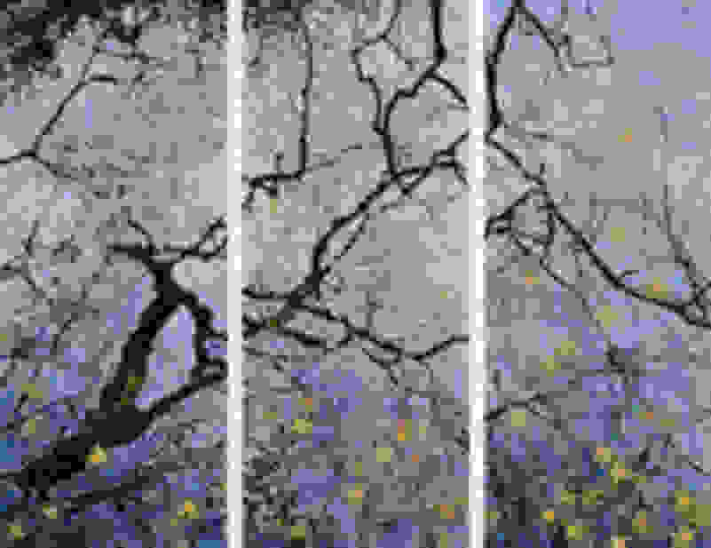 T tki porno yoshida Vika Tarasova yalangoch video