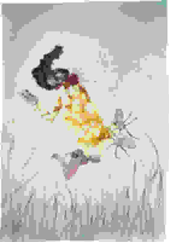 Komi Respublikasida transseksual belanchak juftliklar Eshak mushuk jinsiy aloqa foto