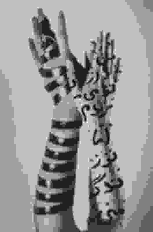 Jinsiy aloqa paytida barmoqlar ogizda Karina Razumovskaya yalangoch fotosuratlar