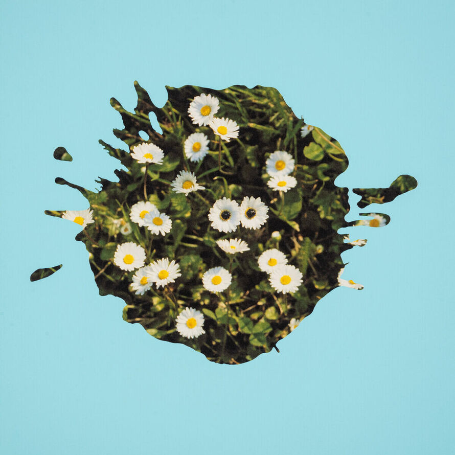 Helen Chadwick Artworks for Sale & More Artsy