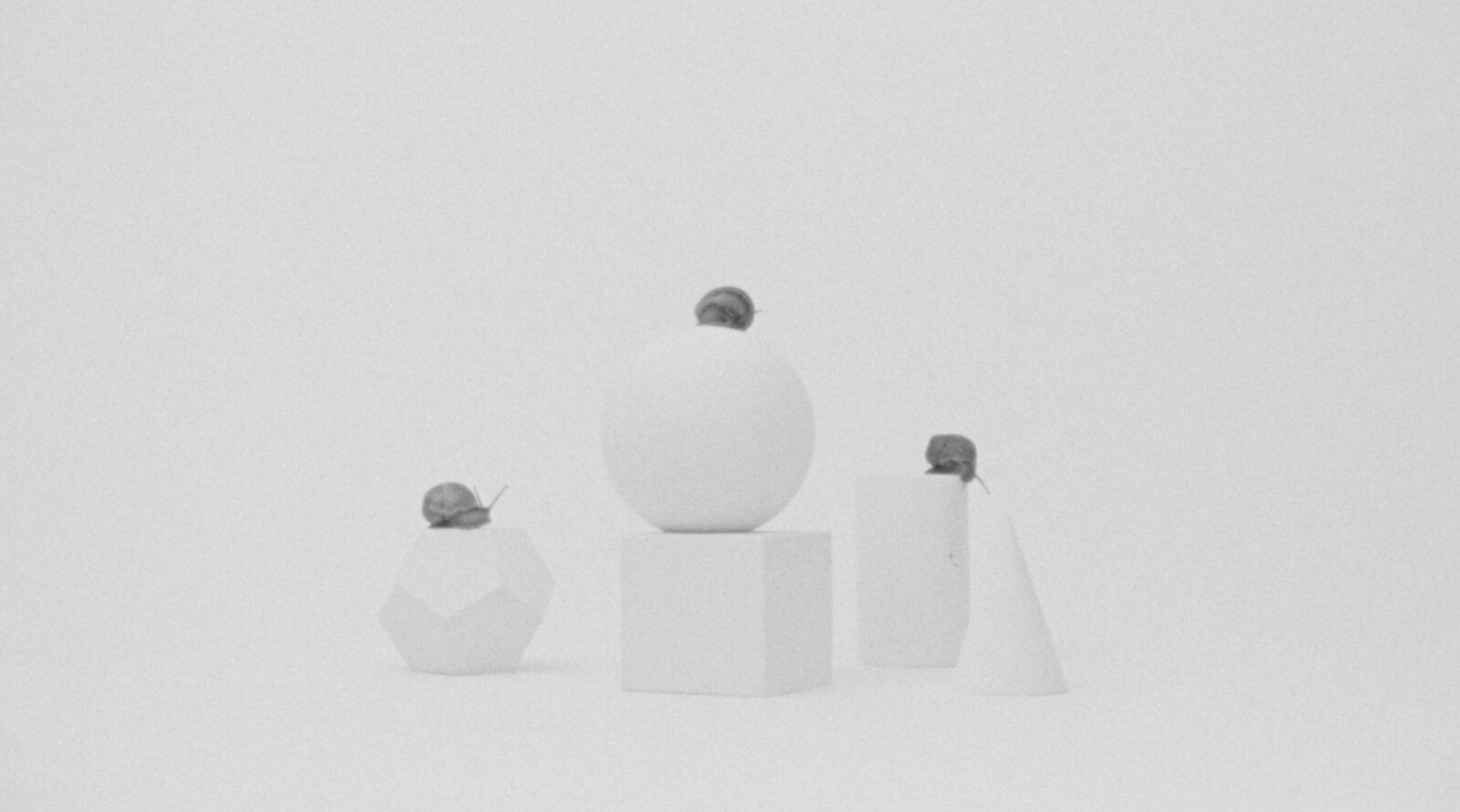 Axel Antas | Still life (Inertia geometry) (2023) | Available for Sale ...
