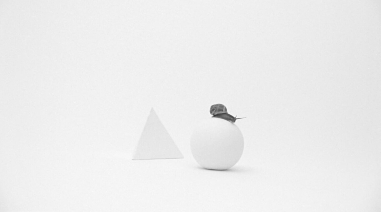 Axel Antas | Still life (Inertia geometry) (2023) | Available for Sale ...