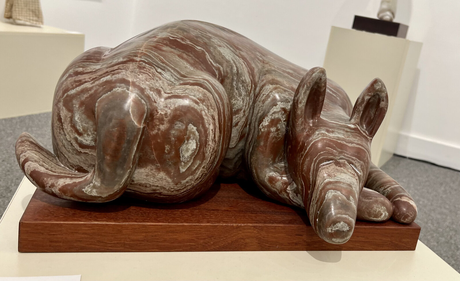 Patricia Raney | Perro (2018) | Available for Sale | Artsy