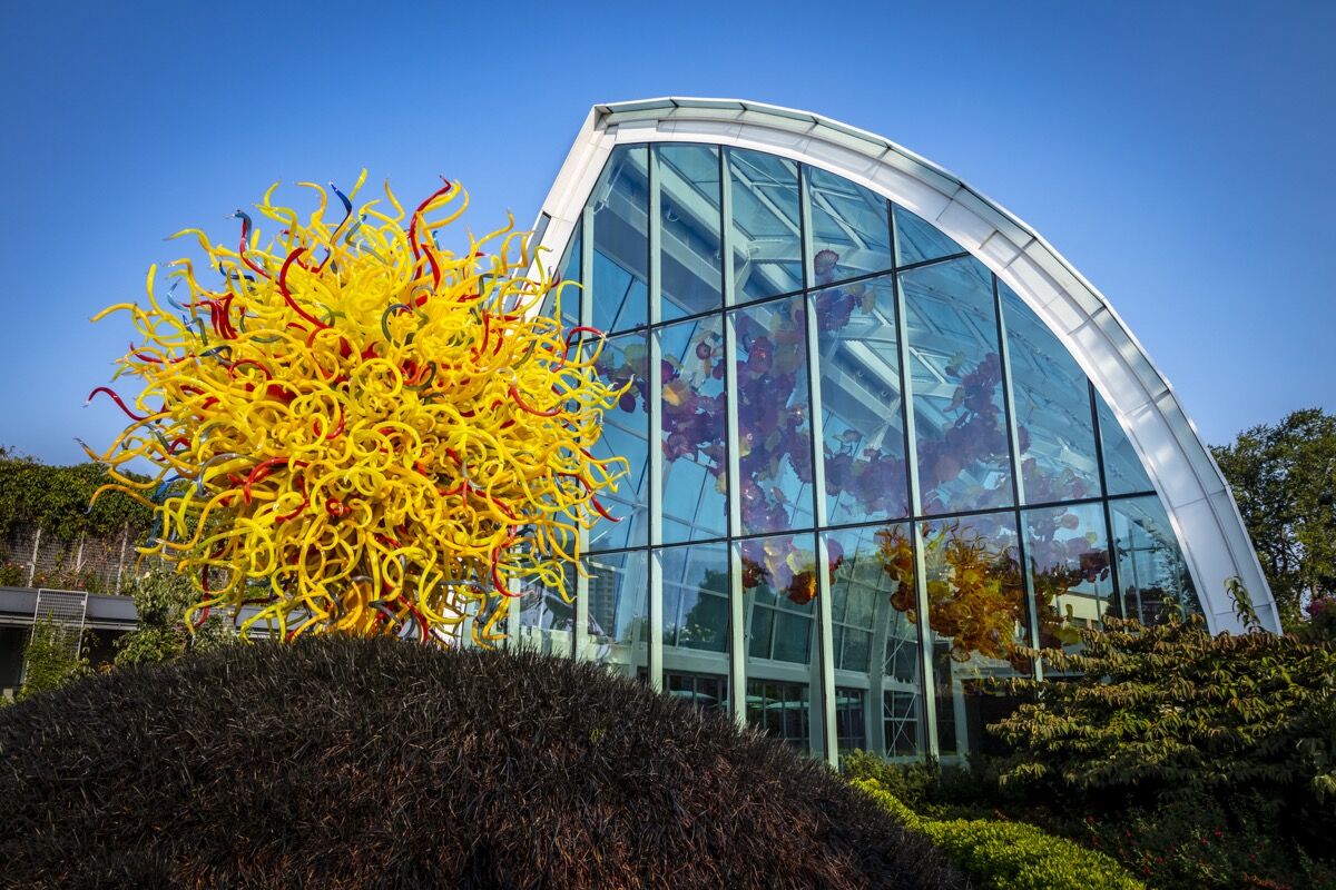 Dale Chihuly Pioneering Glass Artist Is Building A Major Legacy