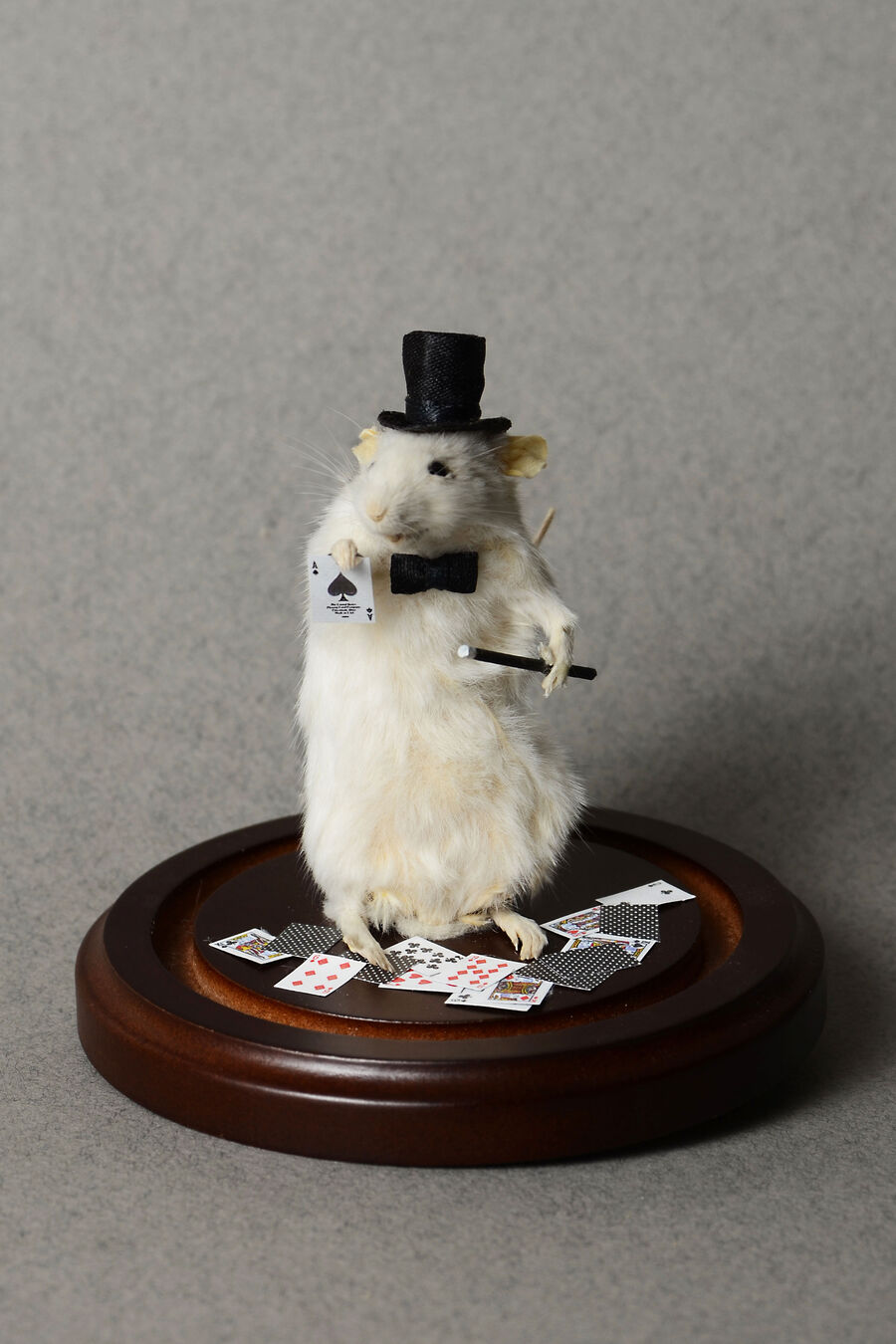 Inside the Eccentric World of Ethical Taxidermy Art | Artsy