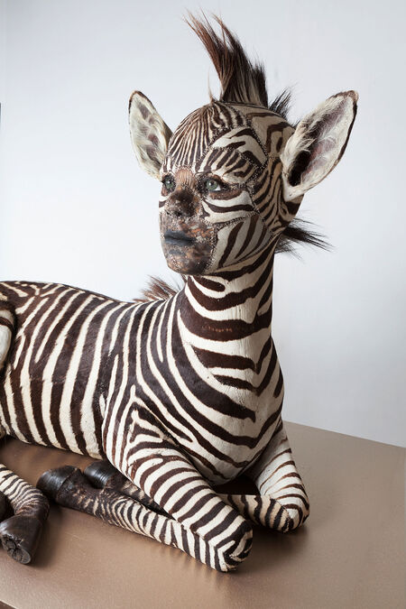 Inside the Eccentric World of Ethical Taxidermy Art | Artsy