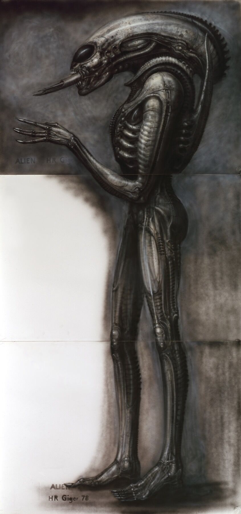 Xenomorph Head Alien Drawing