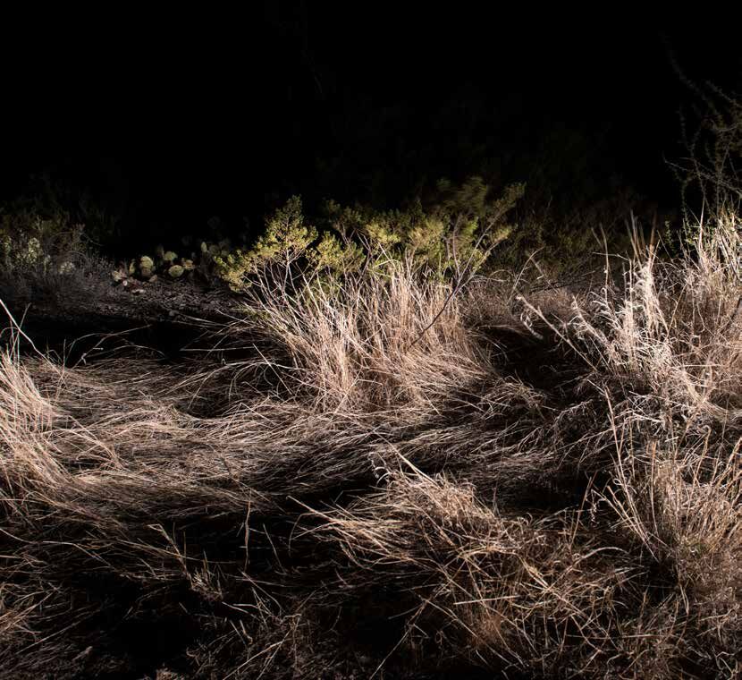 One Photographer's Mission to Capture America's Tumbleweed Invasion