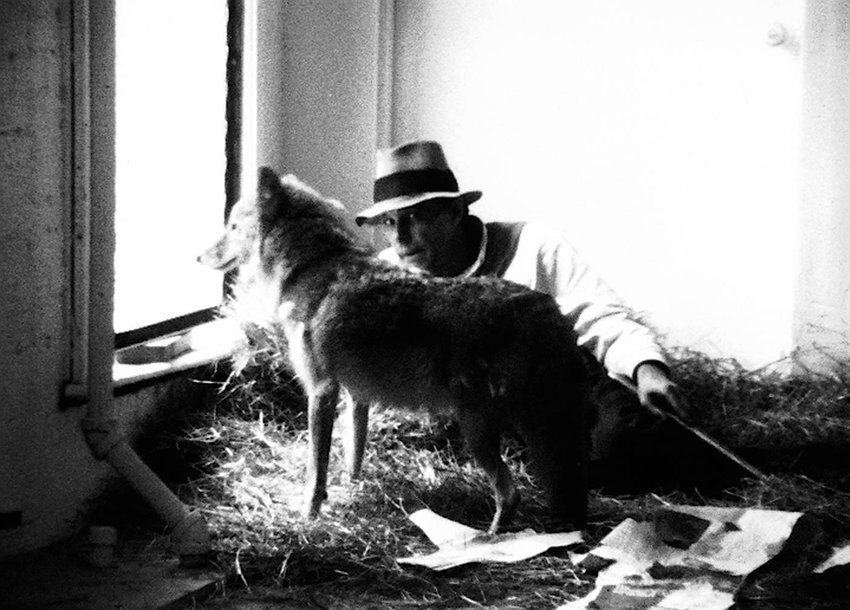 When Joseph Beuys Locked Himself In A Room With A Live