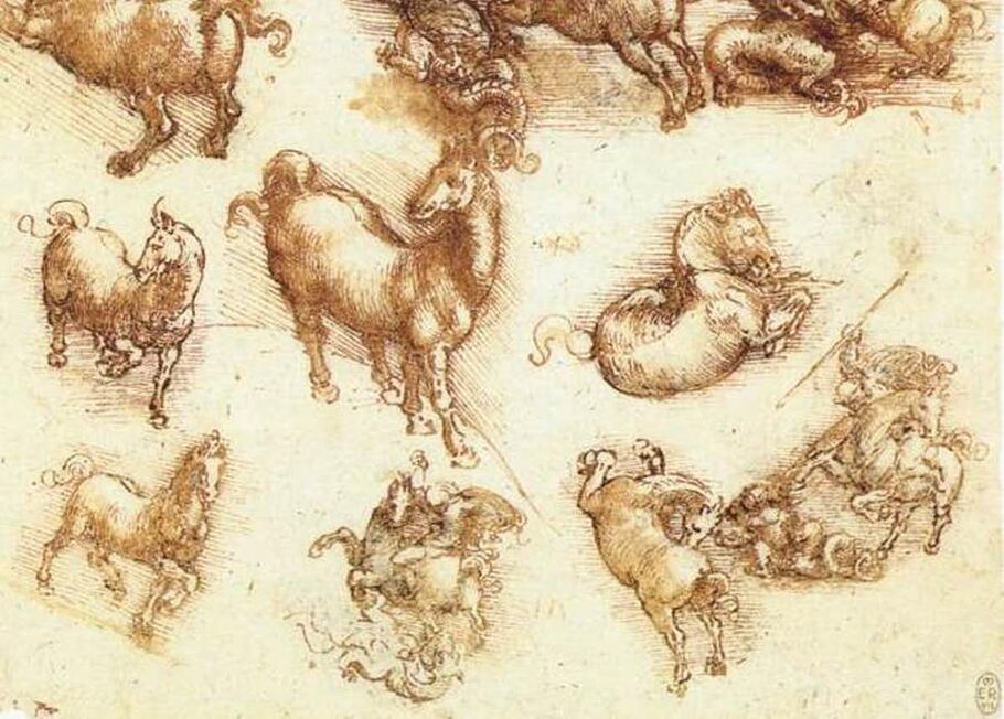 What Leonardo da Vinci Learned from Animals | Artsy