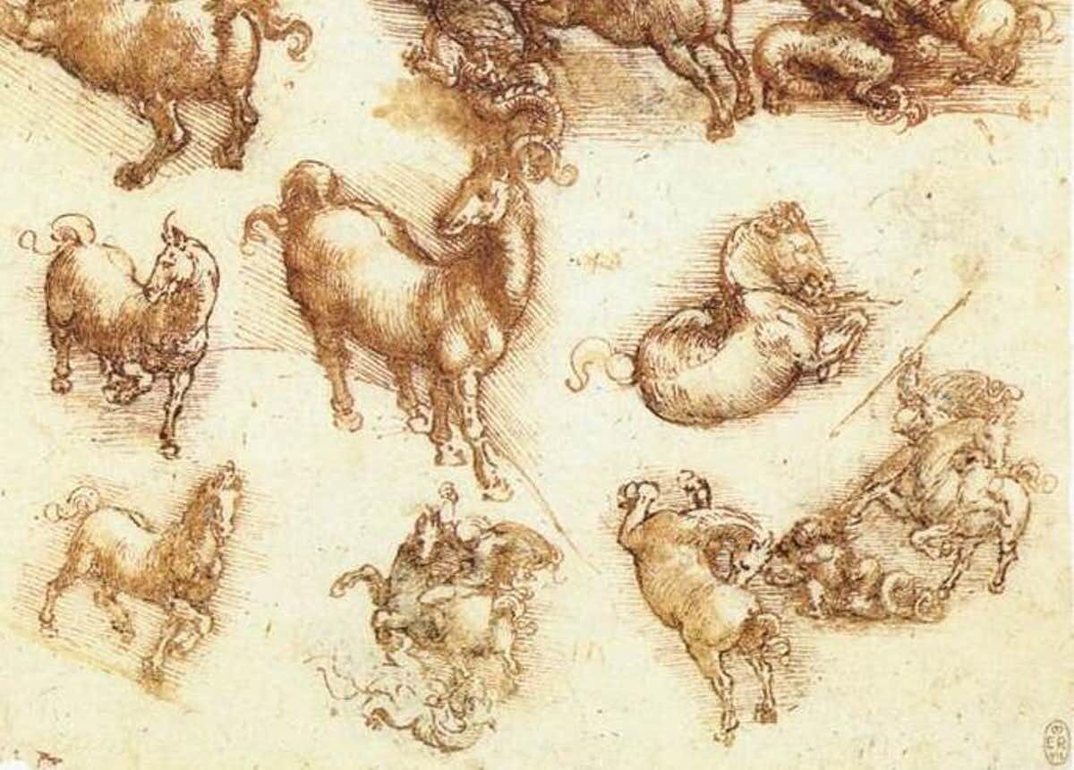 Леонардо да Винчи анималистика