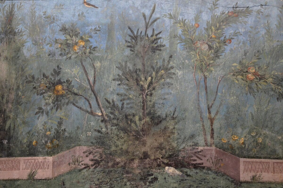 Detail with pine tree and pomegranate in the garden fresco from the Villa of Livia at Prima Porta in Rome at the Palazzo Massimo alle Terme, Rome, 30â20 B.C.E. Photo by Carole Raddato, via Flickr.