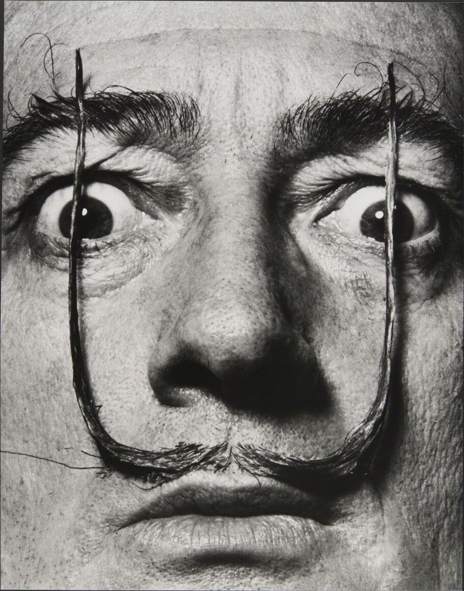 salvador dali portrait painting