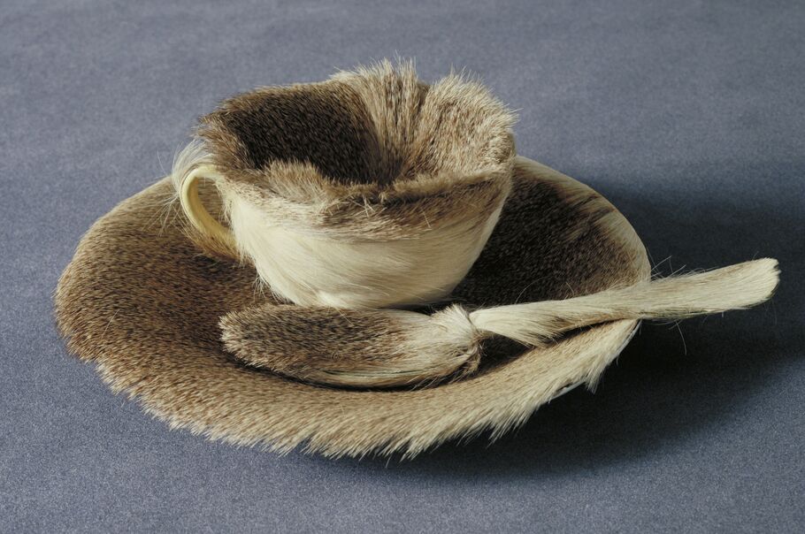 Meret Oppenheim's Fur-Lined Teacup Was MoMA's First Work by a