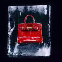 In Need of More Birkin-Based Attention, Tyler Shields Feeds “Hermes” to an  Alligator - PurseBlog