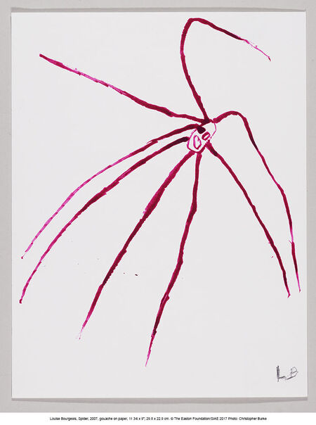 Louise Bourgeois: a web of emotions, Louise Bourgeois