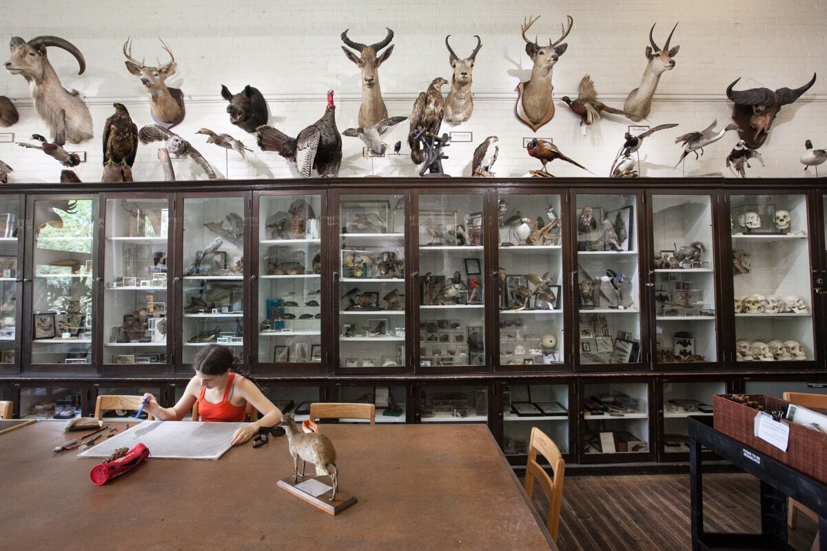 The 15 Top Art Schools in the United States Artsy