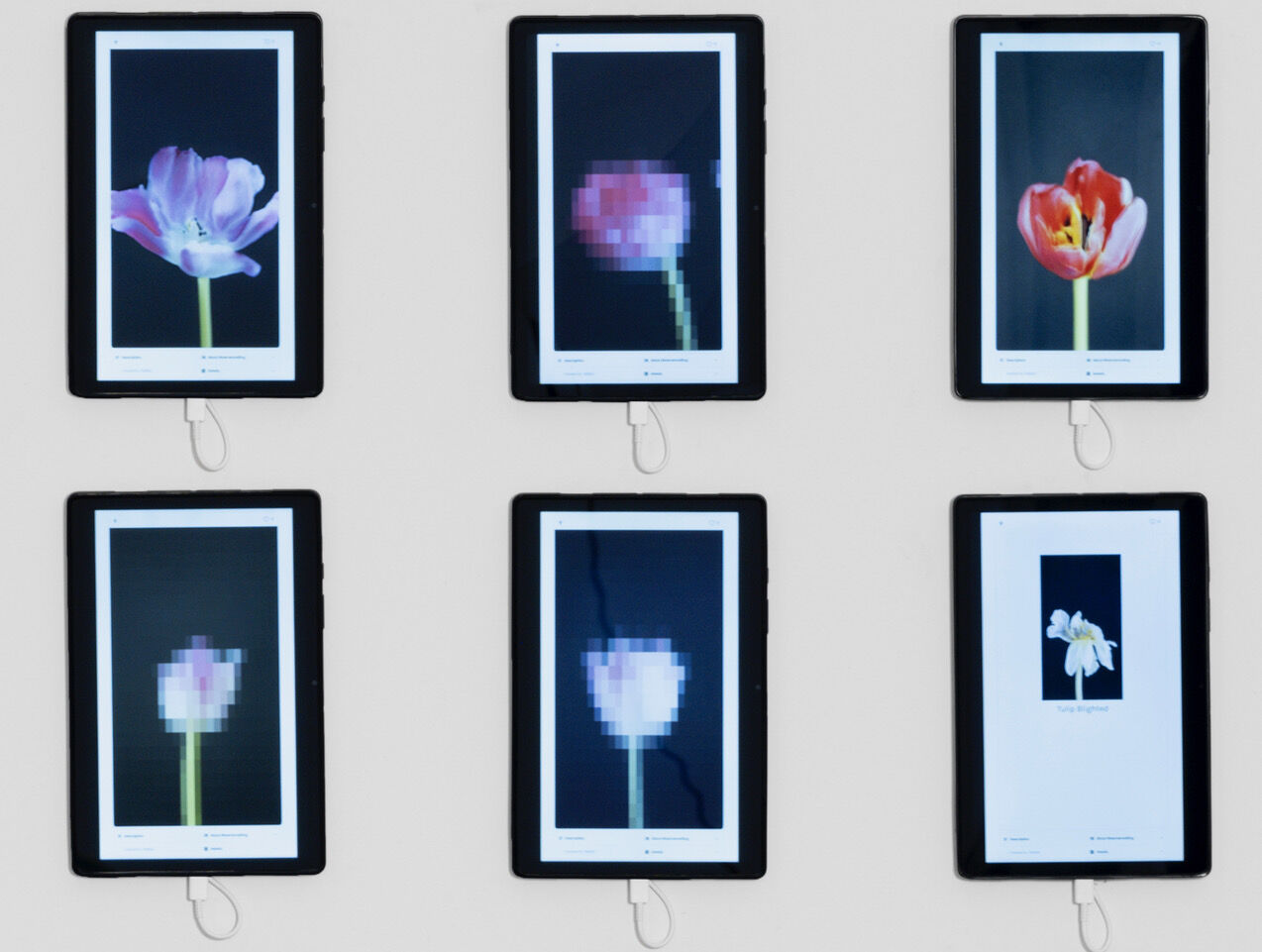 6 Artists Who Were Using Artificial Intelligence Before ChatGPT | Artsy