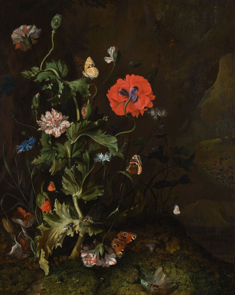 Rachel Ruysch s Exquisite Still Lifes Revolutionized The Form Artsy rachel-ruysch-s-exquisite-still-lifes-revolutionized-the-form-artsy