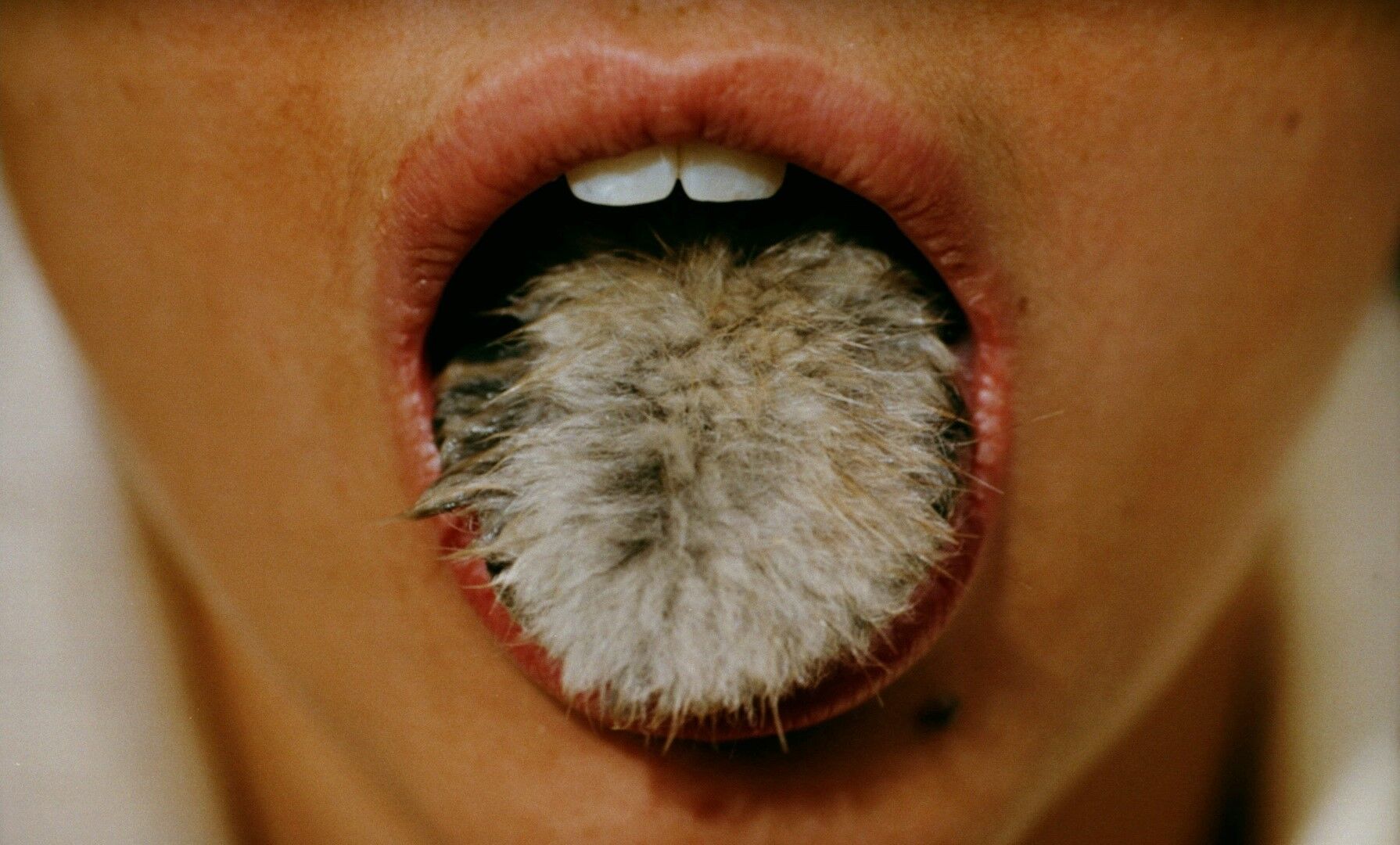 How Surrealist Women Artists Took a Radical Approach to Family Dynamics ...