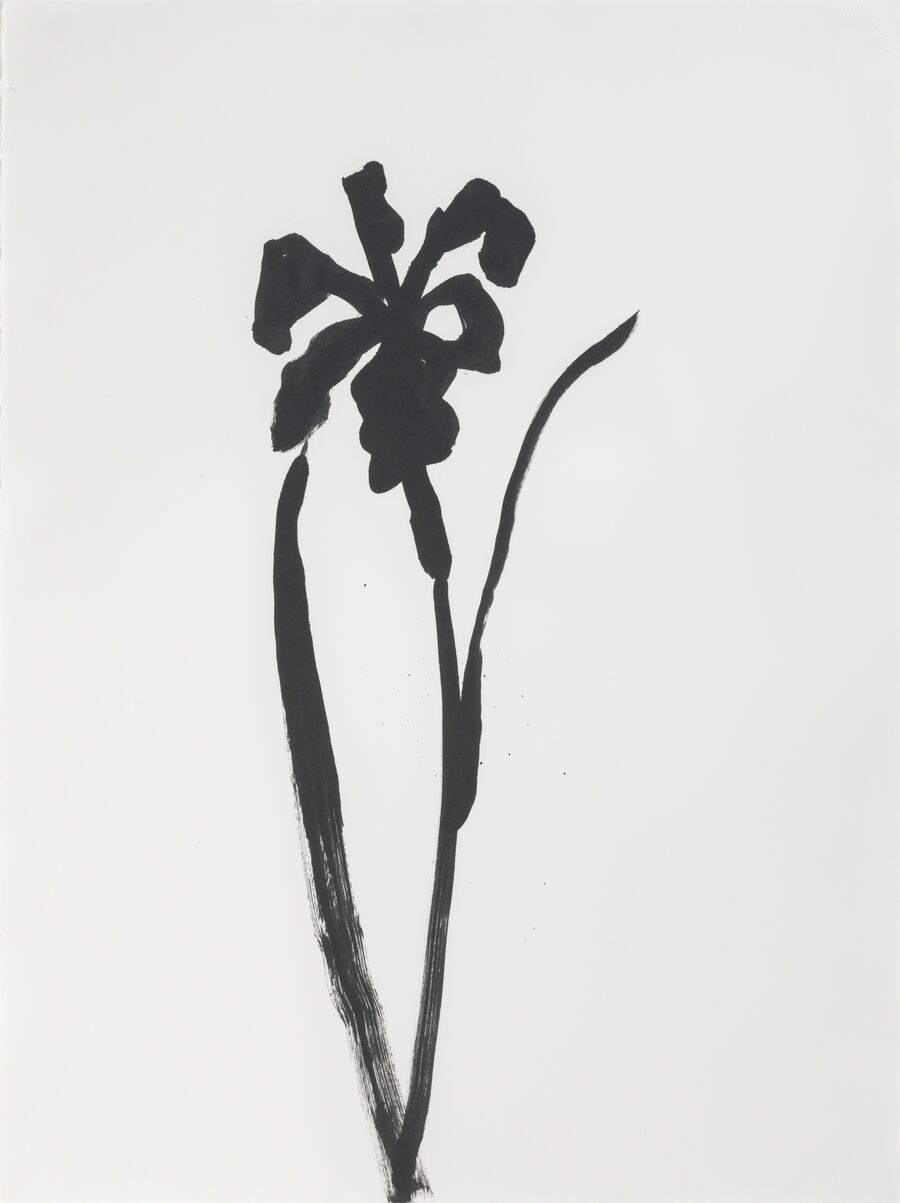 How to Collect Drawings | Artsy