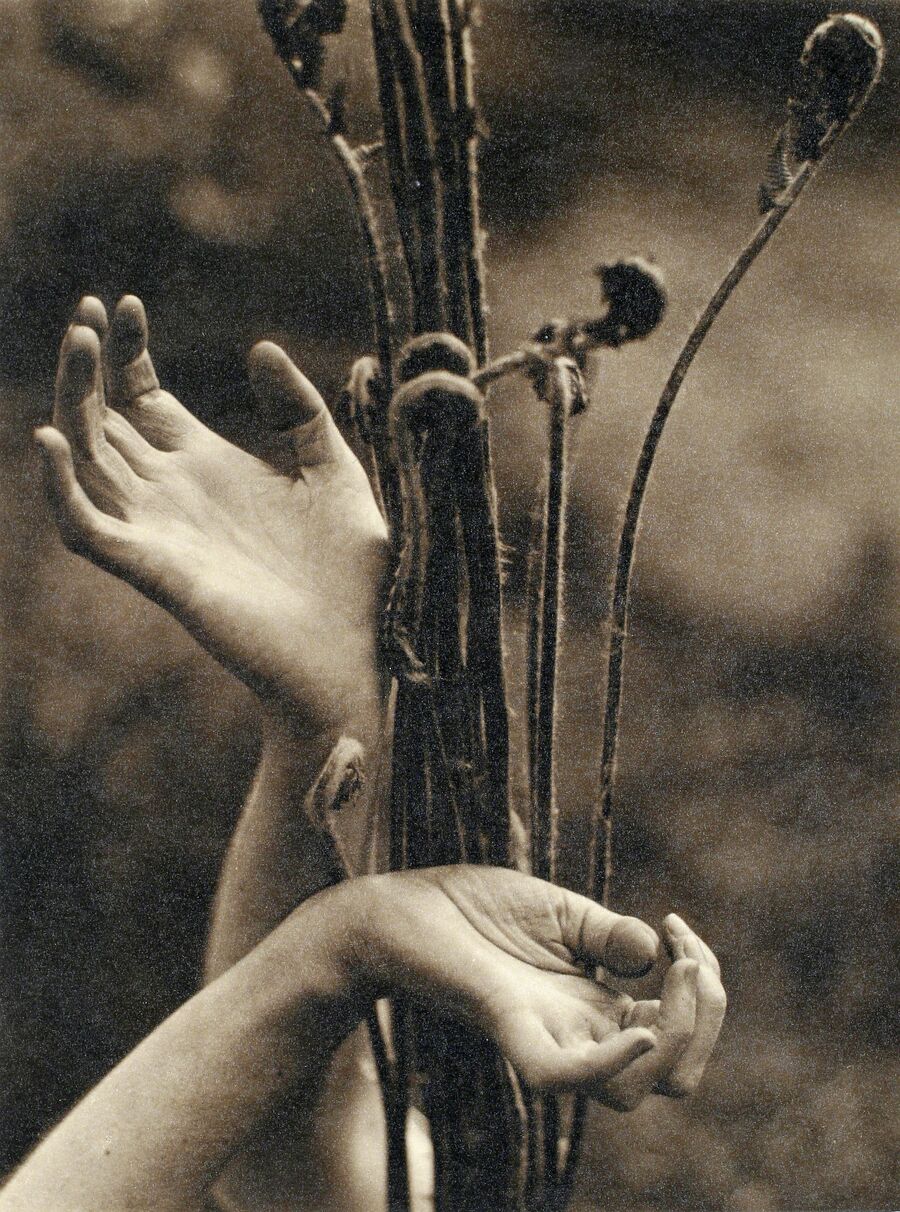 Eric Steichen How Edward Steichen’s “Moonrise” Launched His Career in Photography | Artsy