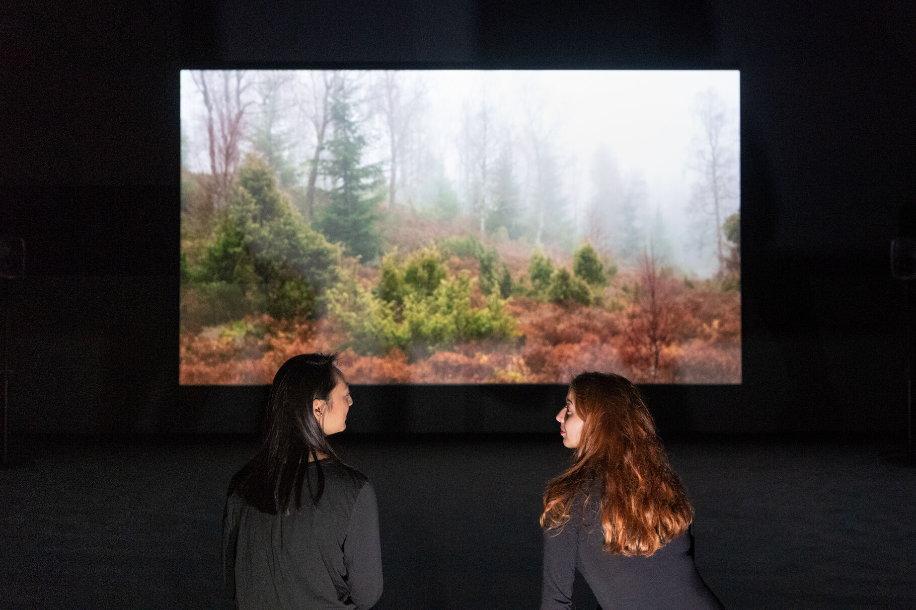 Why Video Art Is Having a Moment | Artsy