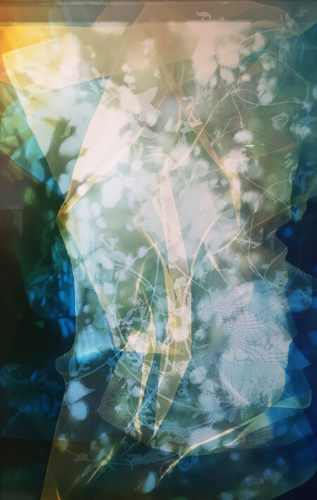 Bryan Graf, ‘Sun Room Canopy Debris II’, 2016, Photography, Chromogenic Photogram, Yancey Richardson Gallery