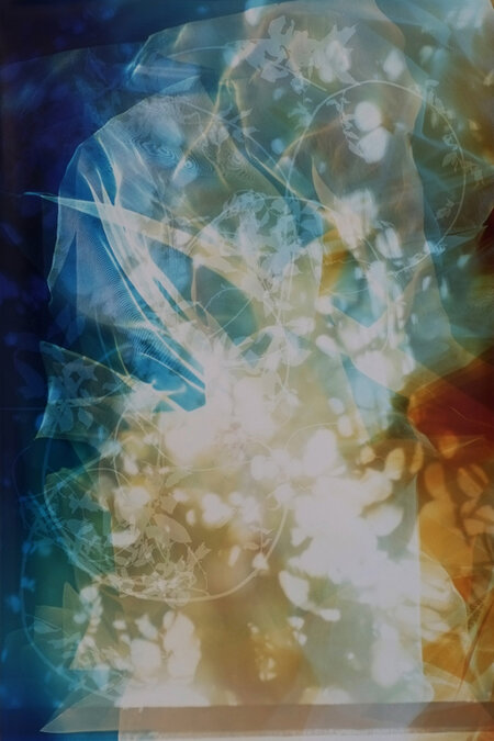 Bryan Graf, ‘Sun Room Canopy Debris III’, 2016, Photography, Chromogenic Photogram, Yancey Richardson Gallery
