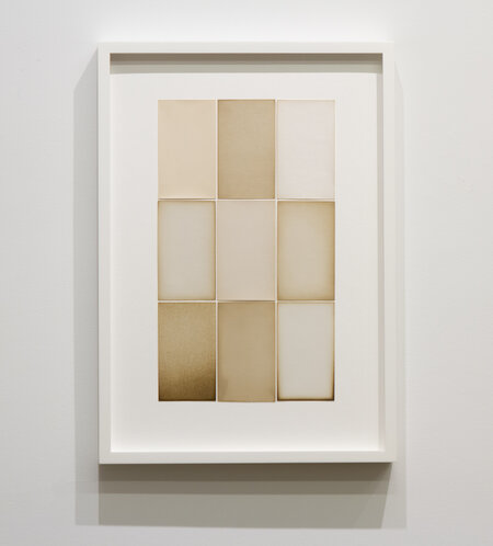 Alison Rossiter, ‘Expired 1919’, 2023, Photography, Nine Gelatin Silver Prints, Yossi Milo Gallery