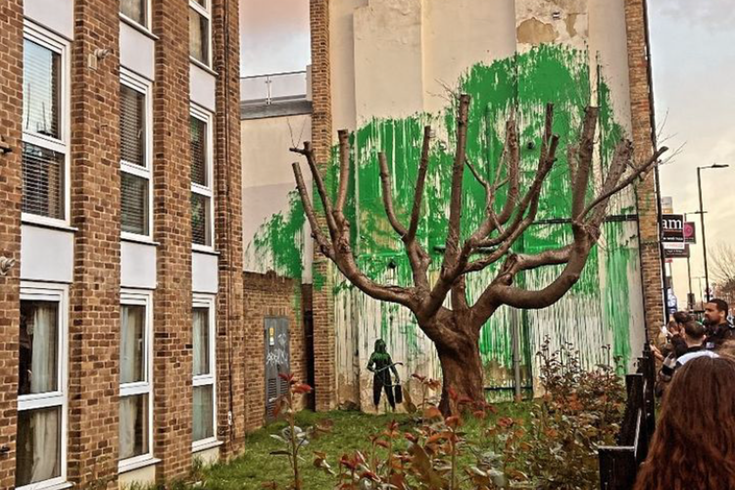 Banksy's mural of a tree with green paint on the wall behind