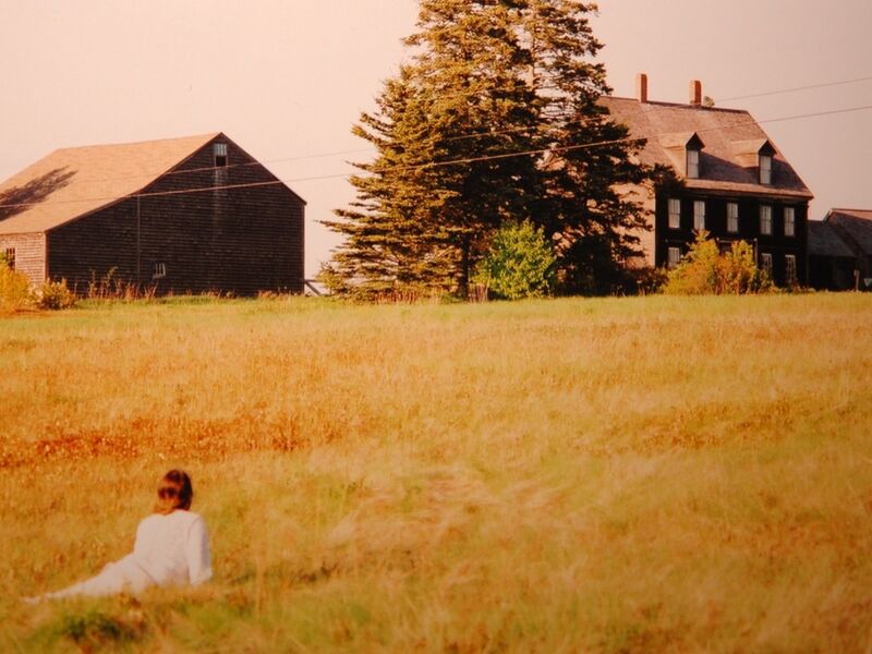 The Controversial Story Behind Andrew Wyeth S Famous Painting