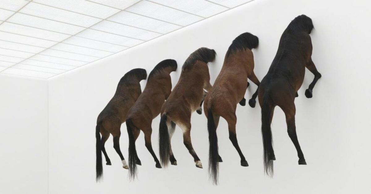 If You Don't Understand Conceptual Art, It's Not Your Fault | Artsy