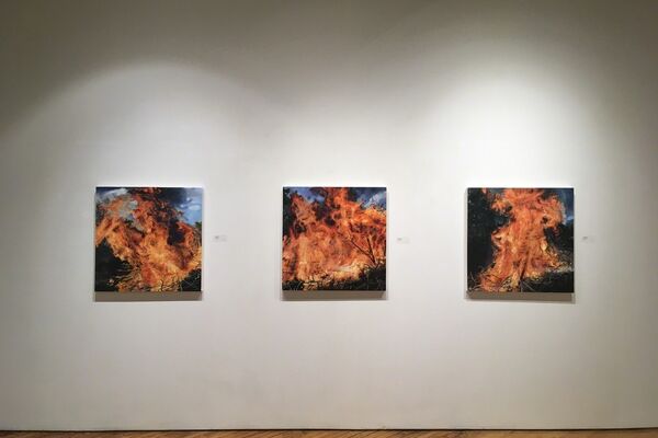 Jennifer Walton Fire Water Ice Snow Abbozzo Gallery Artsy