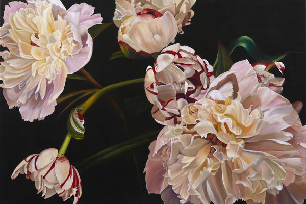 Pamela Wolfe Florophilia Artis Gallery Artsy