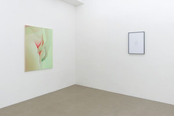 Gregor Gleiwitz Setareh
