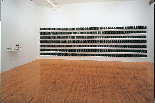 Paul Ramirez Jonas Tranquility Track 16 Gallery Artsy