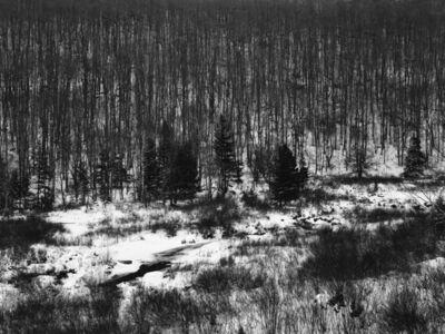 Yamamoto Masao Untitled 44 From The Series A Box Of Ku 01 Available For Sale Artsy