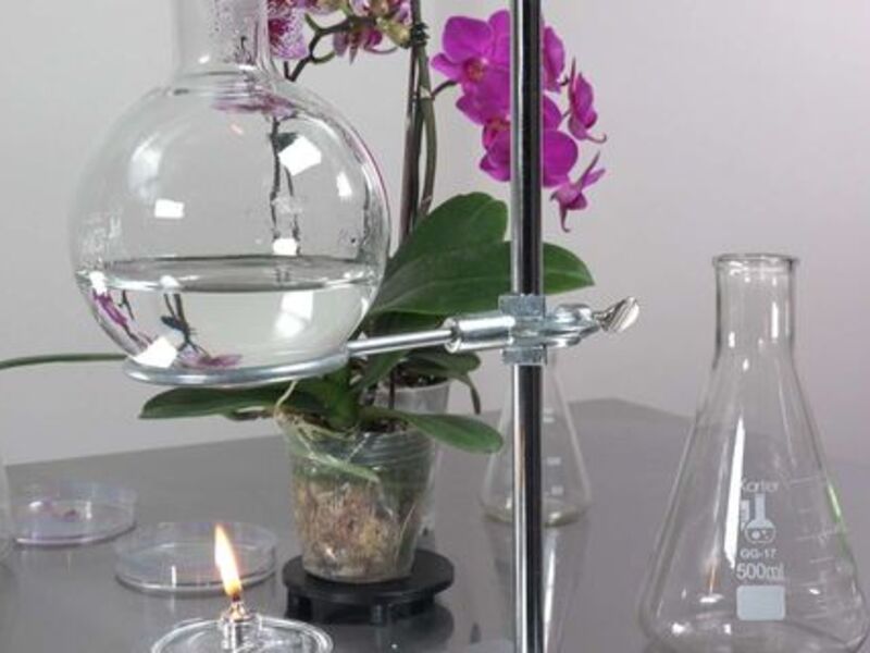 Anicka Yi The Flavor Genome Featuring Trisha Donnelly Selected Works From The Collection Artsy