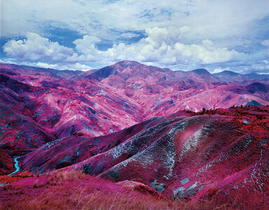 Richard Mosse - 87 Artworks, Bio & Shows on Artsy