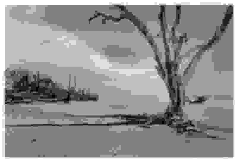 A K Nicholas Goddess Of The Strand 3 3 17 Available For Sale Artsy A K Nicholas Goddess Of The Strand 3 3 17 Available For Sale Artsy