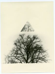 Bruno V Roels 65 Artworks Bio Shows On Artsy