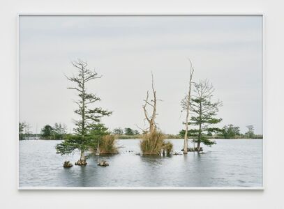 An My Le 16 Artworks Bio Shows On Artsy