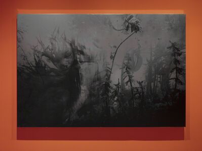 Dinh Q Le 145 Artworks Bio Shows On Artsy