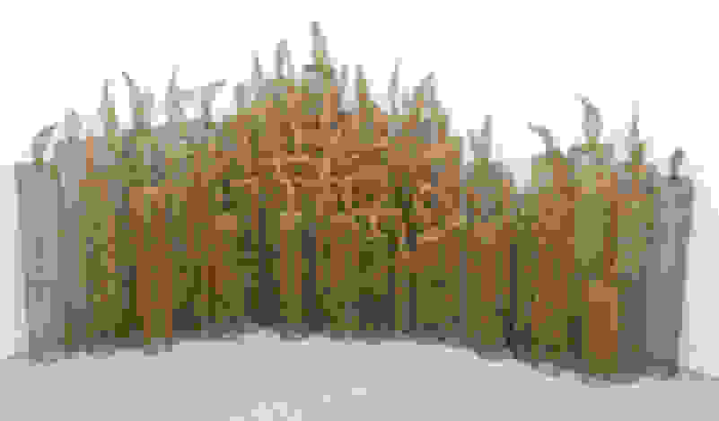 Sopheap Pich Flames 17 Available For Sale Artsy Sopheap Pich Flames 17 Available For Sale Artsy